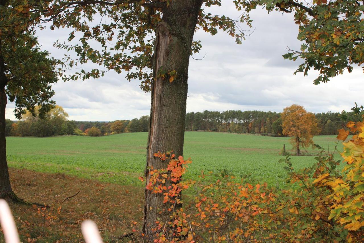 Gospodarstwo Agroturystyczne Agroletnica Świdnica Exteriör bild