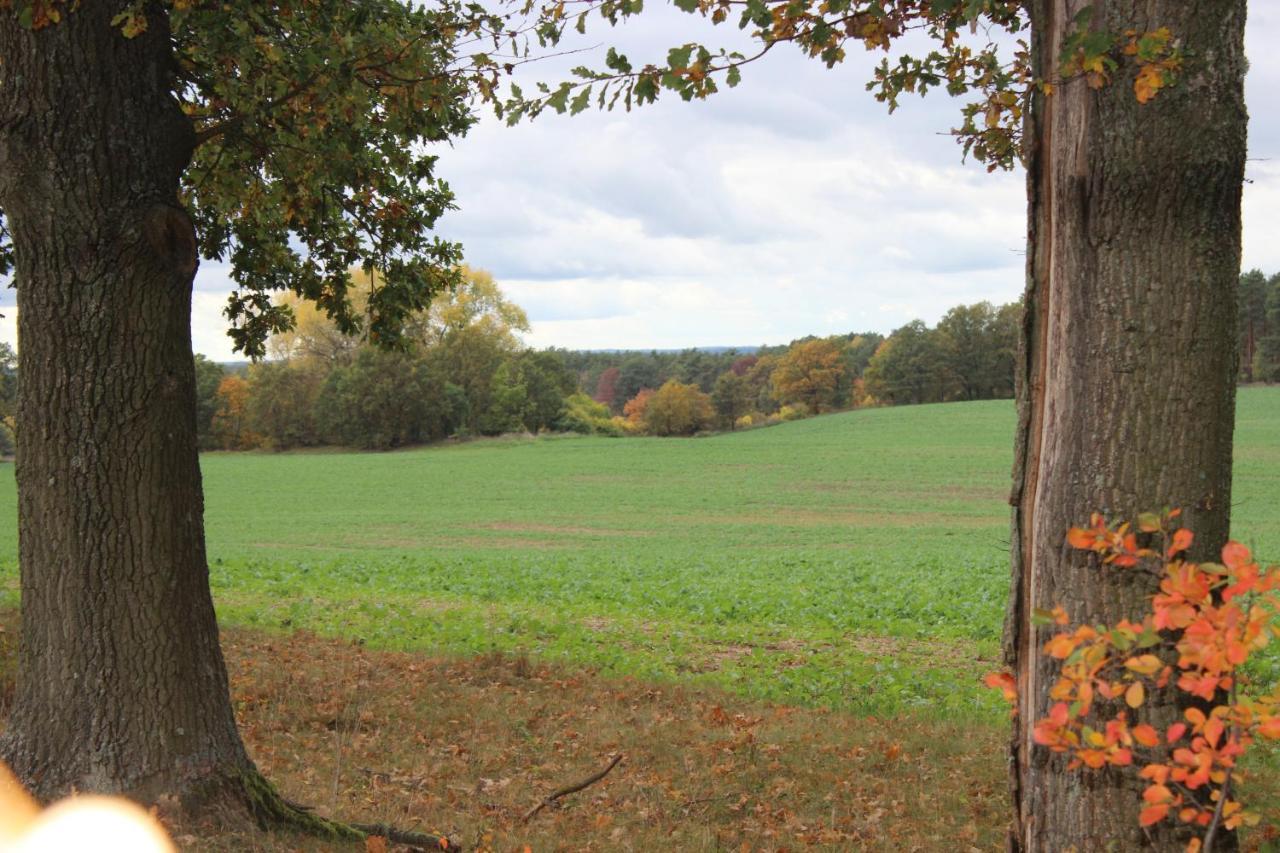 Gospodarstwo Agroturystyczne Agroletnica Świdnica Exteriör bild