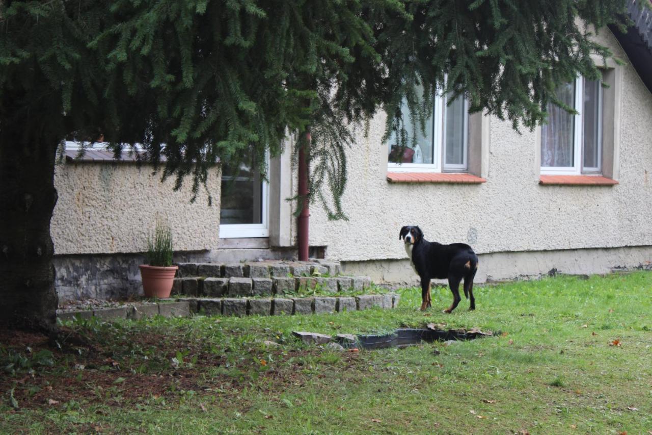 Gospodarstwo Agroturystyczne Agroletnica Świdnica Exteriör bild
