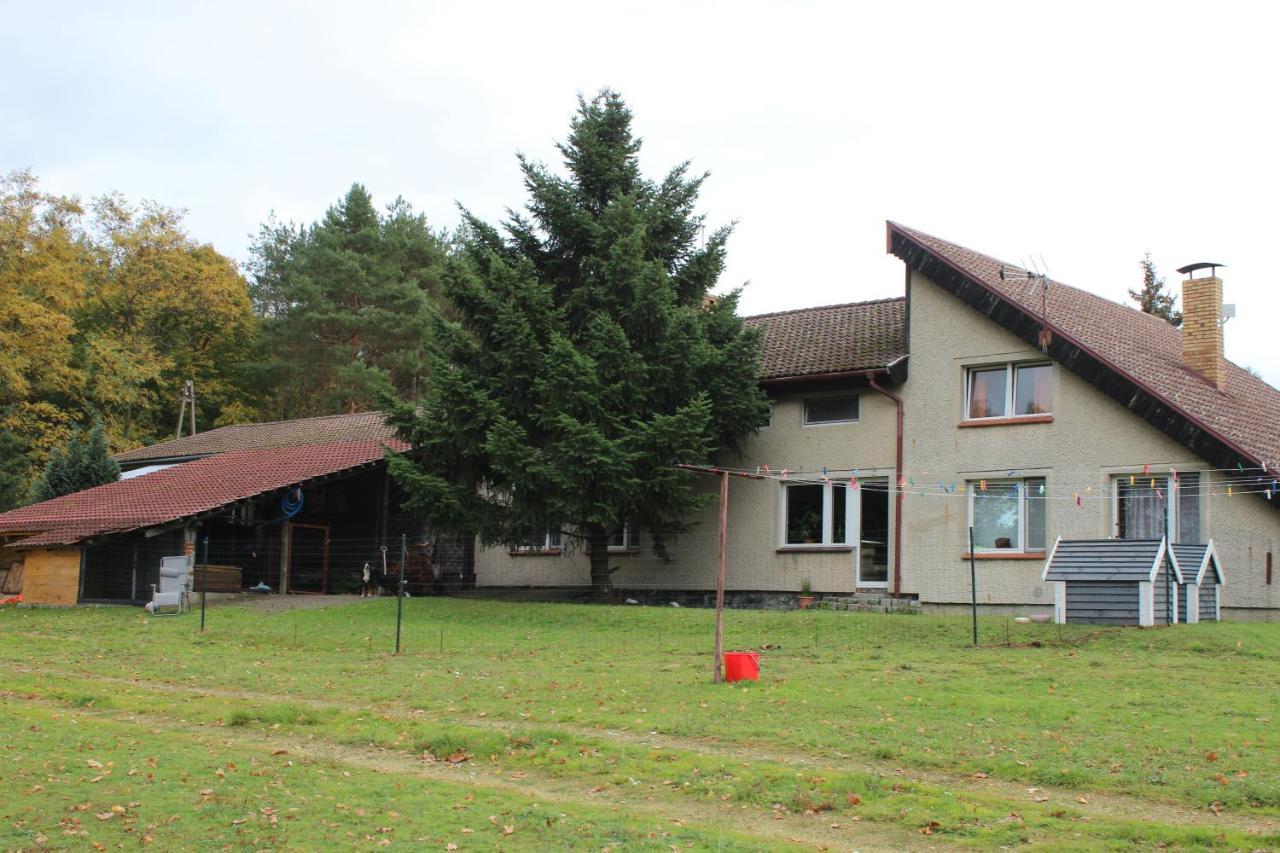 Gospodarstwo Agroturystyczne Agroletnica Świdnica Exteriör bild