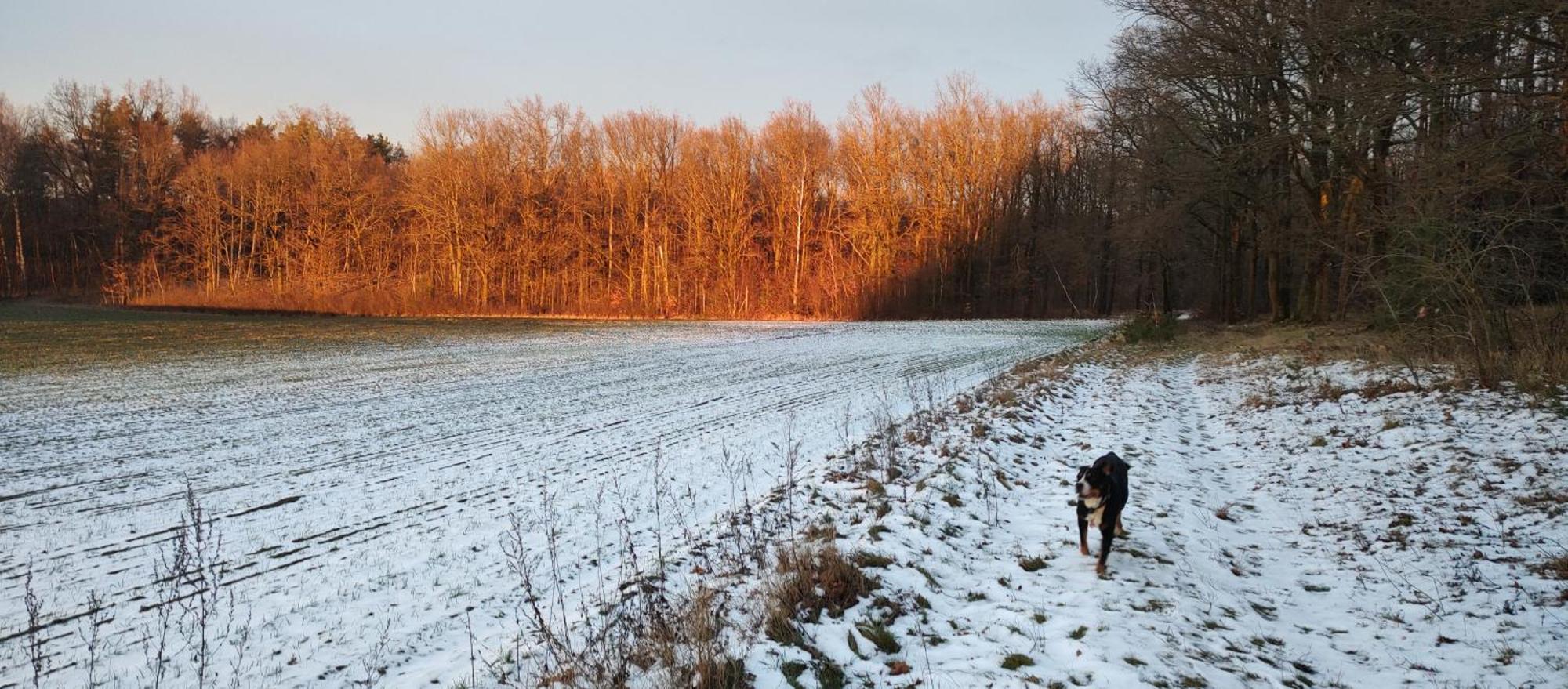 Gospodarstwo Agroturystyczne Agroletnica Świdnica Exteriör bild