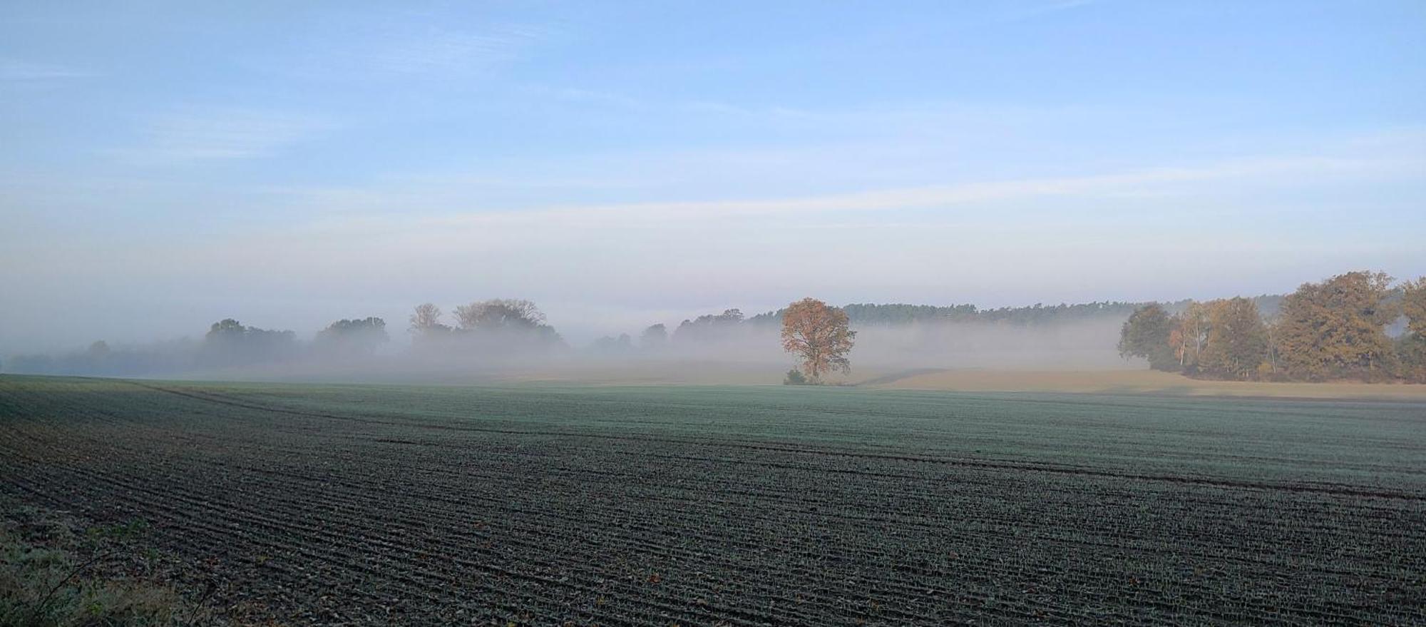 Gospodarstwo Agroturystyczne Agroletnica Świdnica Exteriör bild